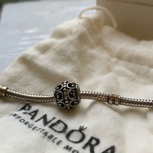 Pandora charm